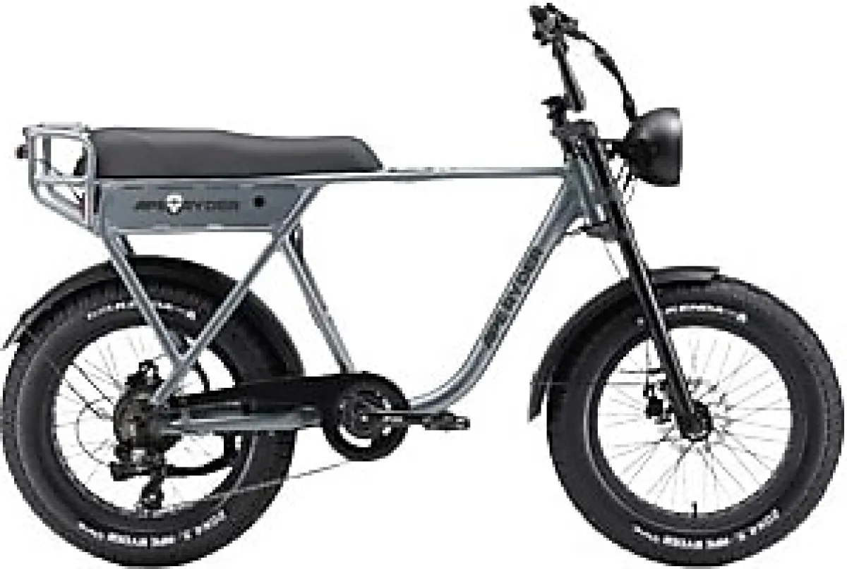 Ape Ryder A10 250 W 2 Kişilik Elektrikli Bisiklet