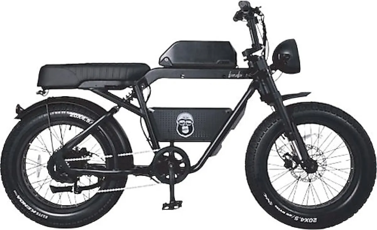 Ape Ryder Bonobo 250 W İki Kişilik Elektrikli Bisiklet