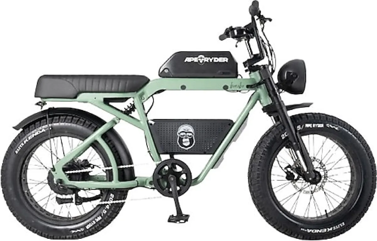 Ape Ryder Bonobo 250 W Yeşil İki Kişilik Elektrikli Bisiklet