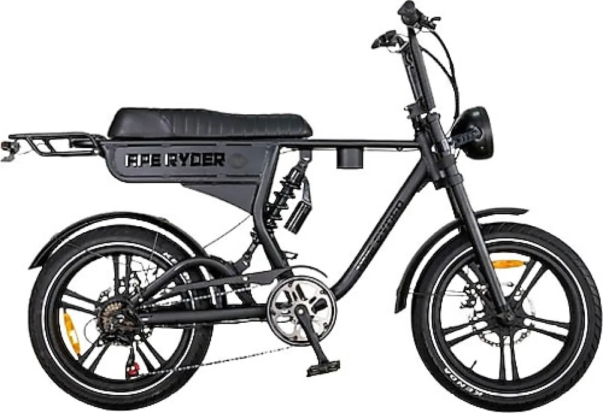 Ape Ryder DC20 250 W İki Kişilik Elektrikli Bisiklet