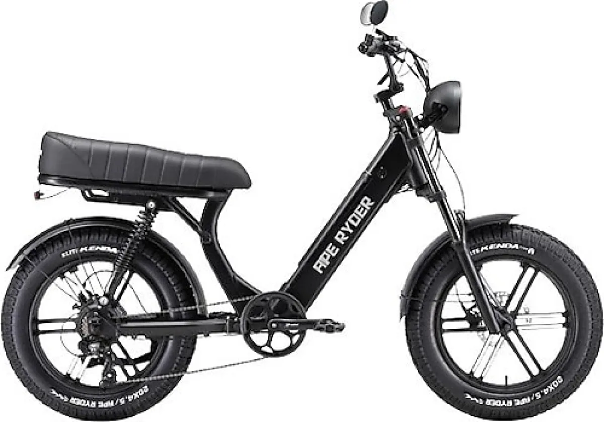 Ape Ryder MD10 250 W İki Kişilik Elektrikli Bisiklet