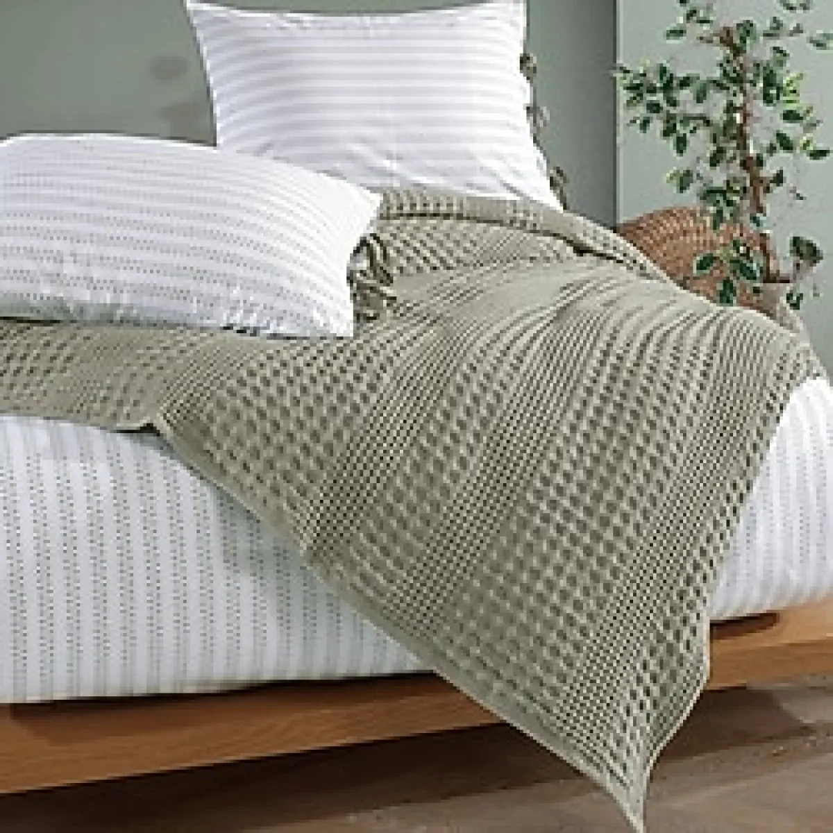 Elart Silvia Pike Takımı Yeşil