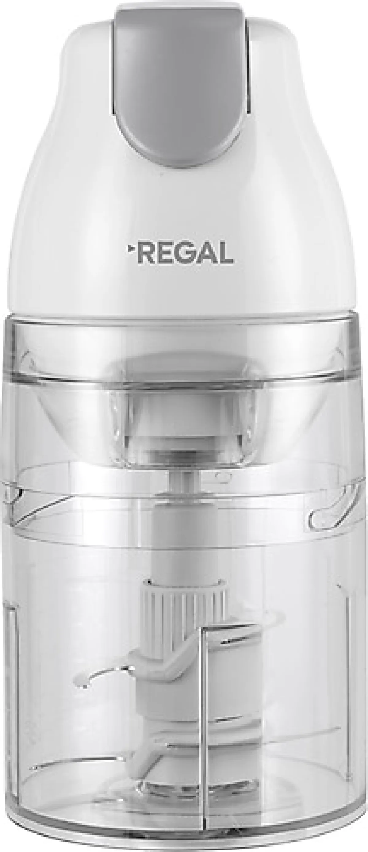 Regal RCD 1000 G 550 W Doğrayıcı