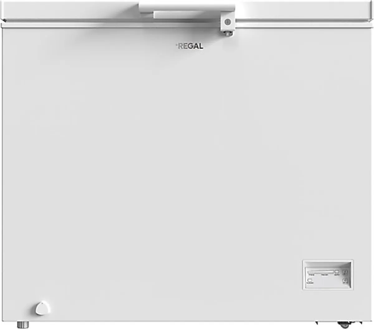 Regal SD Dual 3021 Sandık Tipi Derin Dondurucu