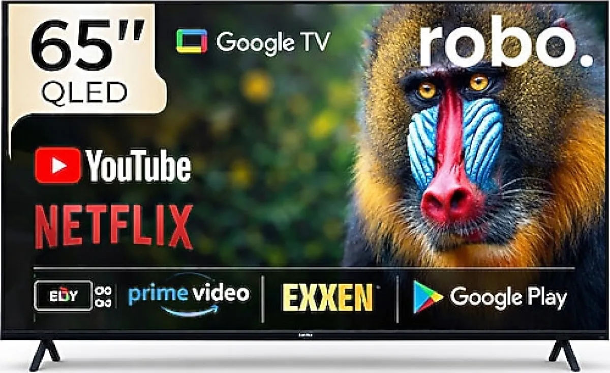 Robo RBTV65 4K Ultra HD 65" 165 Ekran Uydu Alıcılı Google Smart QLED TV