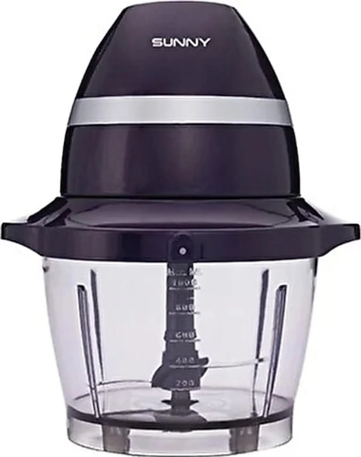 Sunny Violin Mor Rondo