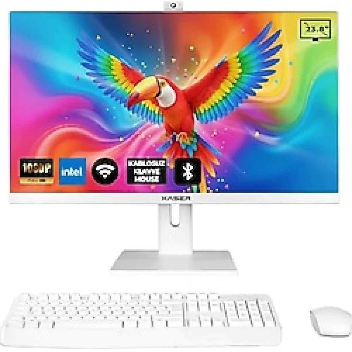 Xaser Xs110 İ7 6700 16Gb Ram 512Gb Ssd 23.8" Webcam + Wifi+ Bt All In One Bilgisayar