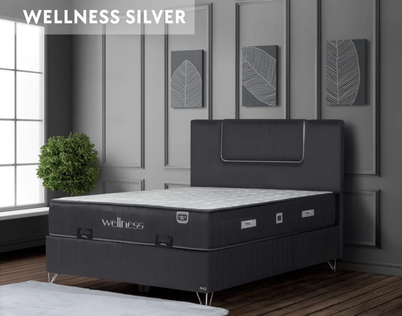 Wellness Silver Yatak Baza Başlık