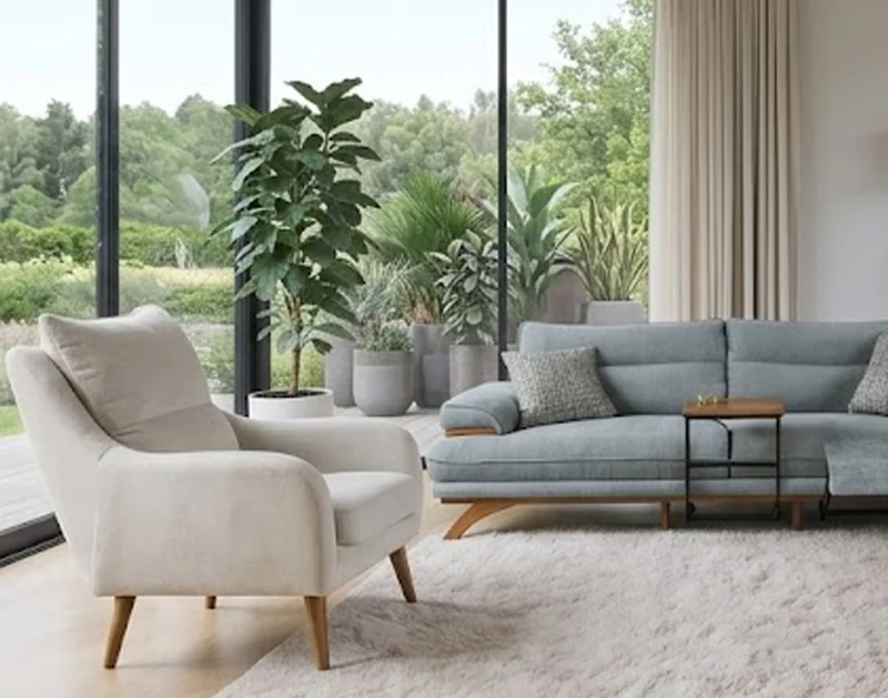 Petli Koltuk Takımı